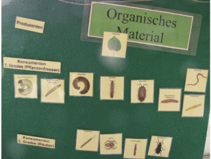 Produzenten Konsumenten Foto gemeinfrei