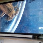In krautigen Flachwasserzonen dann auch mal ein Wasserskorpion - und das dann als Highlight auf der Großprojektion des LUMBRICUS - Foto: von Oldenburg