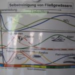 Renaturierung fördert die Selbstreinigungskräfte der Fließgewässer und schützt vor Hochwasser - Foto: D. Schruck, Grafik: Engelhardt