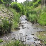 Blick in den Kesselbach - Foto: Schruck